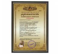 Шуточный диплом учителя в рамке А4