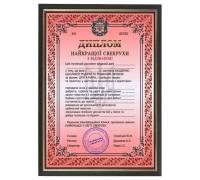 Шуточный диплом свекрови в рамке А4
