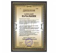 Шуточный диплом лучший Начальник в рамке