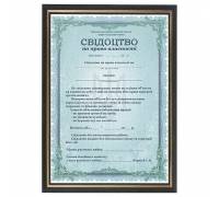Шуточное Свидетельство на право собственности