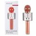 Микрофон-караоке Wster WS-858 AUX/5Вт/SD Микрофон-караоке Wster WS-858 AUX/5Вт/SD