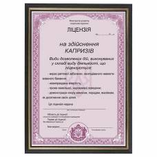 Шуточная Лицензия на осуществление капризов
