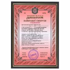 Шуточный диплом свекрови в рамке А4