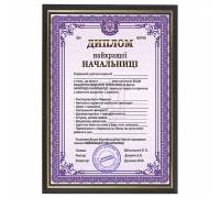 Шуточный диплом лучшей Начальницы в рамке