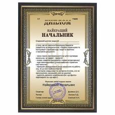 Шуточный диплом лучший Начальник в рамке