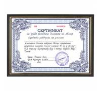 Шуточный Сертификат на владения участком на Луне
