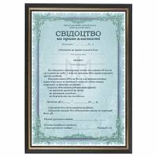 Шуточное Свидетельство на право собственности